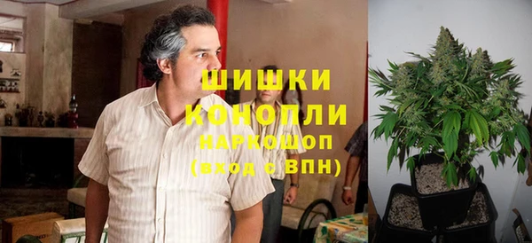 ГАЛЛЮЦИНОГЕННЫЕ ГРИБЫ Абаза