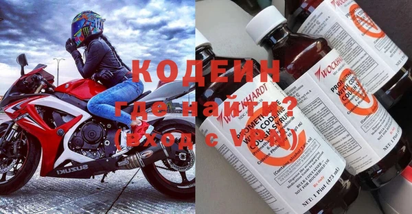 крисы Ельня