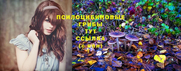 таблы Аркадак